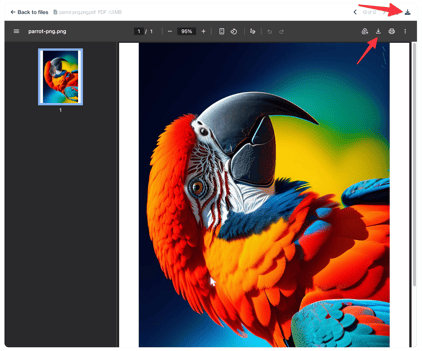 Download Files PDF In Portal
